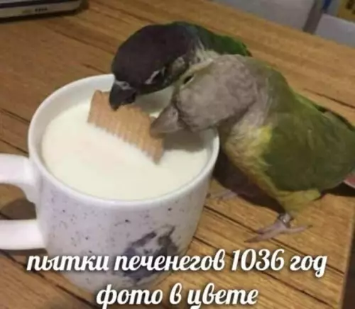 Смешная картинка №799957