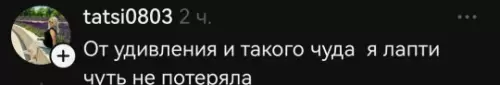 продолжение Смешная картинка №799415