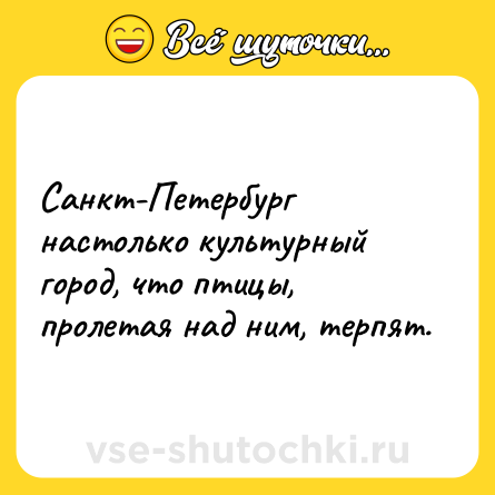 Шутка: Санкт-Петербург настолько культурный город, что птицы, пролетая над ним, терпят.