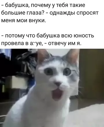 Смешная картинка №759329