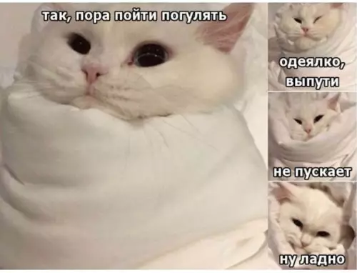 Смешная картинка №236986