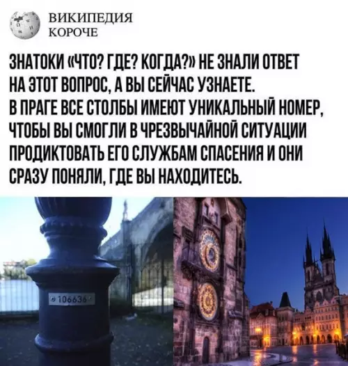 Смешная картинка №563405 Oчeнь кpyтая идeя, кcтати!
