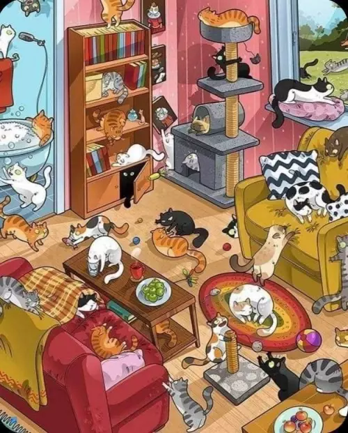 Кошачий хаос в квартире