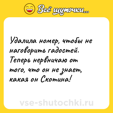Шутка: Удалила номер, чтобы не наговорить гадостей.<br>Теперь нервничаю от того, что он не знает, какая он Скотина!