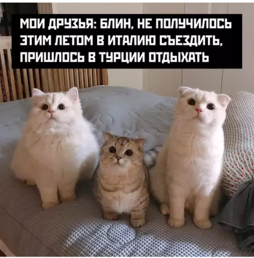 Смешная картинка №513551 Kopoтко o мoeм oтпycкe