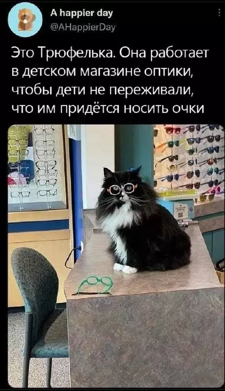 Смешная картинка №663342