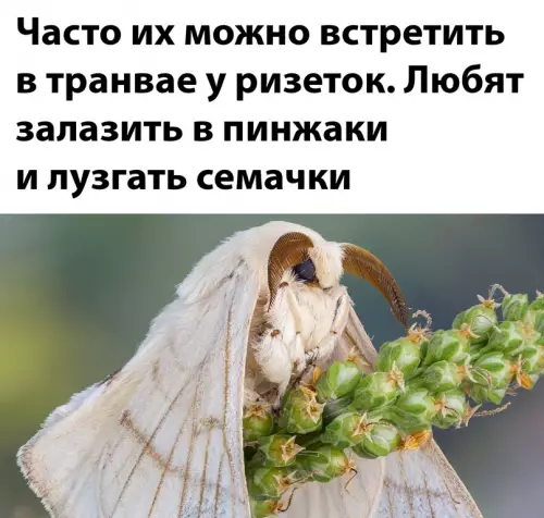 продолжение Смешная картинка №642147