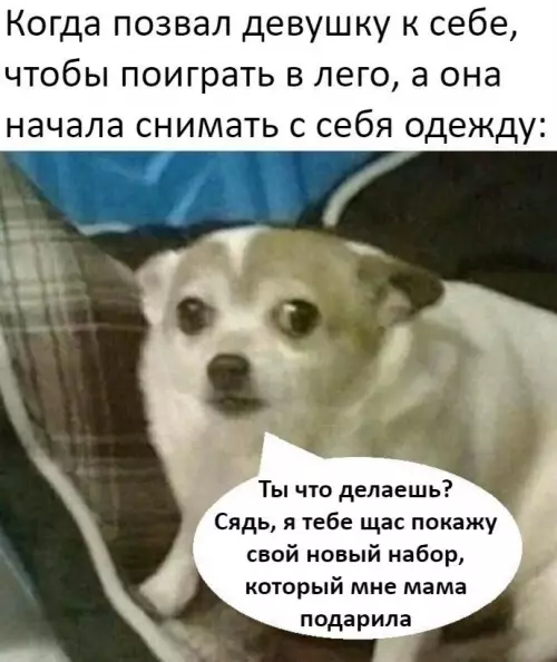 Смешная картинка №683812 У девушки совсем другие интересы
