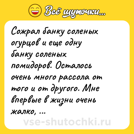 Шутка: Сожрал банку соленых огурцов и еще одну банку соленых помидоров. Осталось очень много рассола от того и от другого. Мне впервые в жизни очень жалко, что у меня нет похмелья.