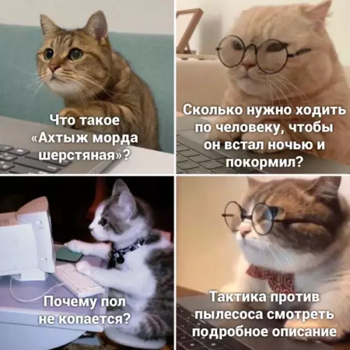 Смешная картинка №654217