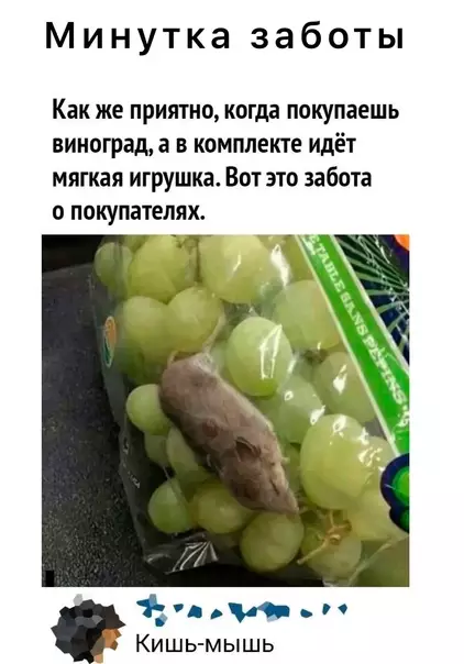 Смешная картинка №578710