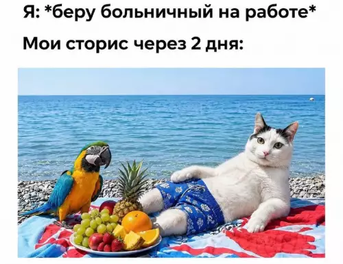 Смешная картинка №819341 Отпуск