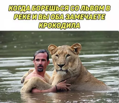 Смешная картинка №655512