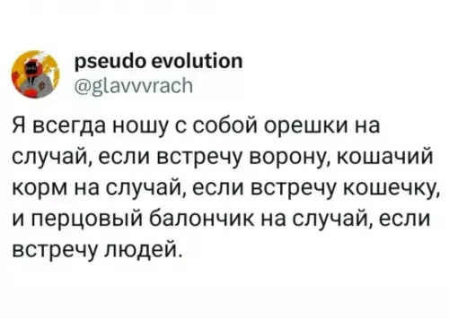 Смешная подготовка к встрече с людьми - Автор этого твита решил поделиться своим уникальным подходом к безопасности.