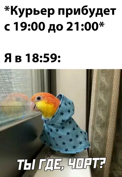 Смешная картинка №560267