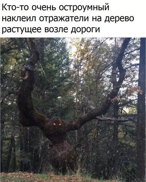 Смешная картинка №216306