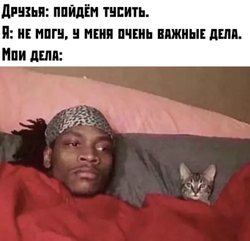 Смешная картинка №382617