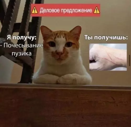 Смешная картинка №788785