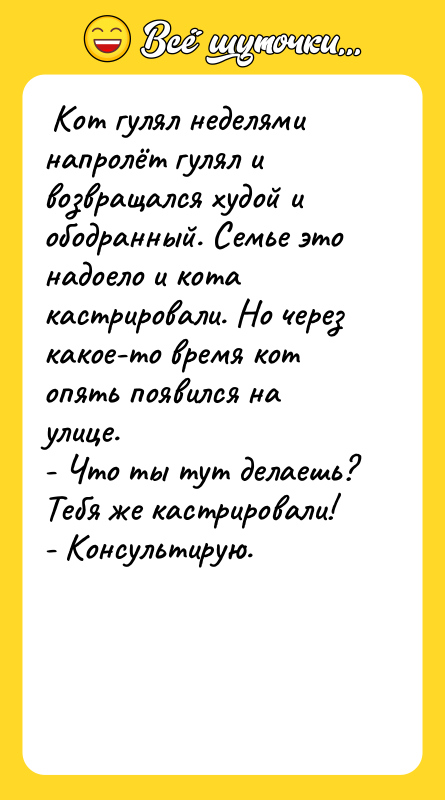  Кот гулял неделями напролёт гулял и возвращался худой и