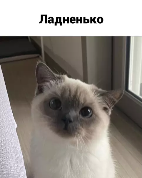 продолжение Смешная картинка №568877