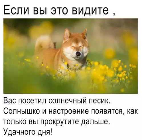 Смешная картинка №267511