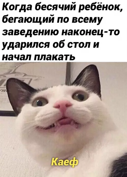Смешная картинка №666062