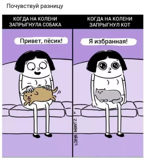 Смешная картинка №233391