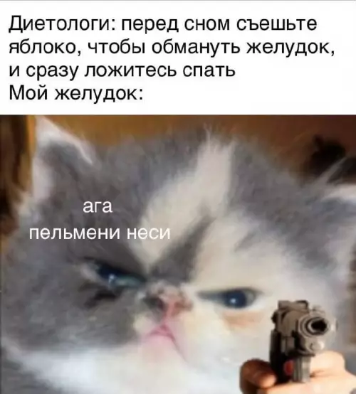 Диетологи против котика с пушкой 😼🔫 - Диетологи: перед сном съешьте яблоко, чтобы обмануть желудок, и сразу