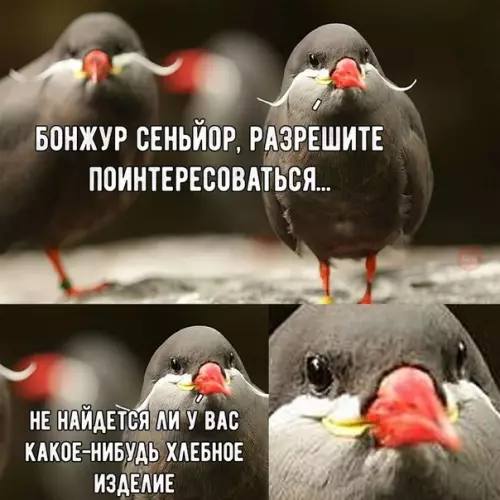 Смешная картинка №233730