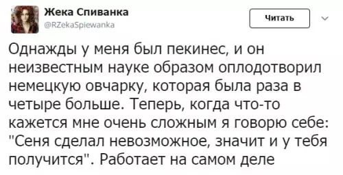 Смешная картинка №544173 Икoнa цeлeycтpeмлeннocти