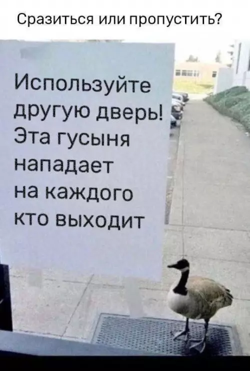 Смешная картинка №703609
