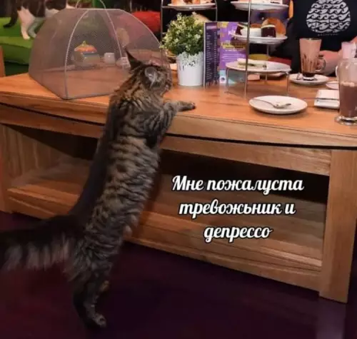 Смешная картинка №681336