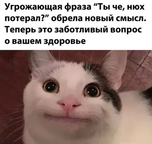 Смешная картинка №525001