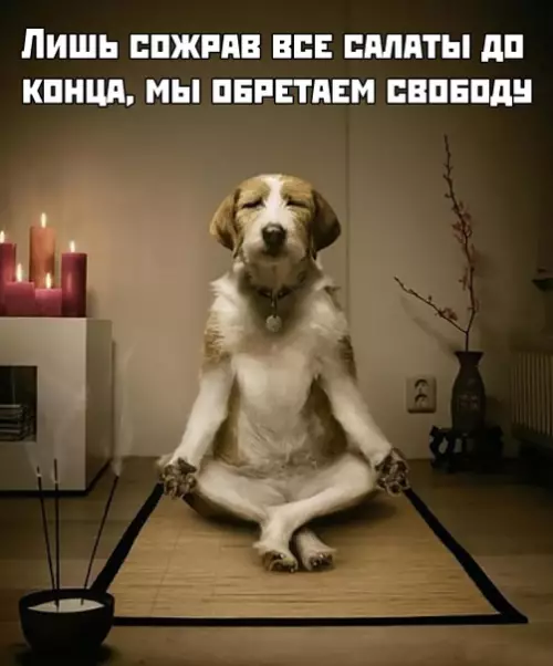 Смешная картинка №435990