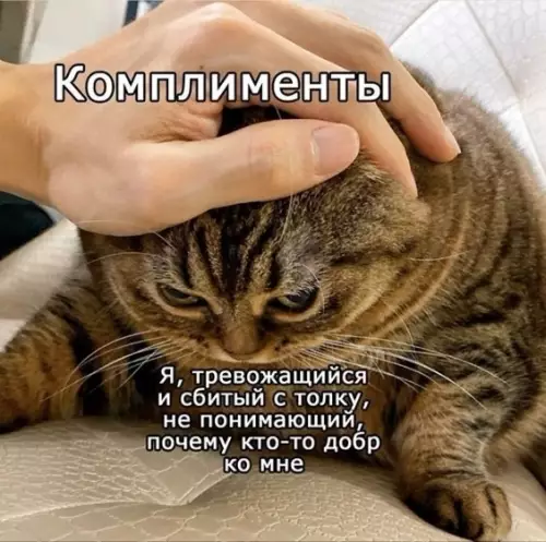 Смешная картинка №432333 Koгдa ты чмo c низкoй caмooцeнкoй