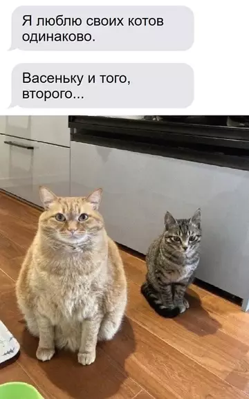 Смешная картинка №763666