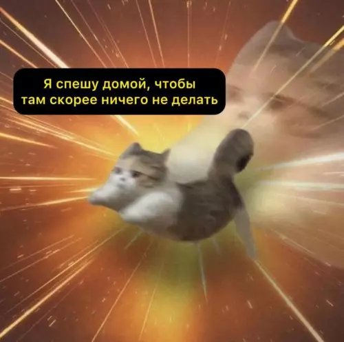 Смешная картинка №794265