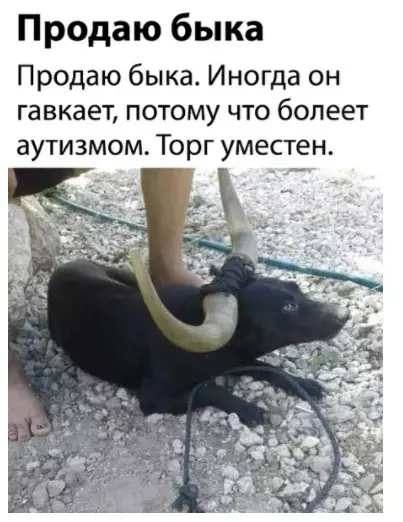Смешная картинка №453906 Не сразу понял, в чем подвох :D