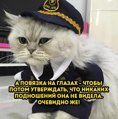 продолжение Смешная картинка №624072 Богиня правосудия