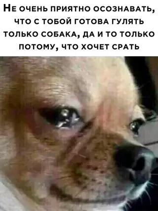 Смешная картинка №652665