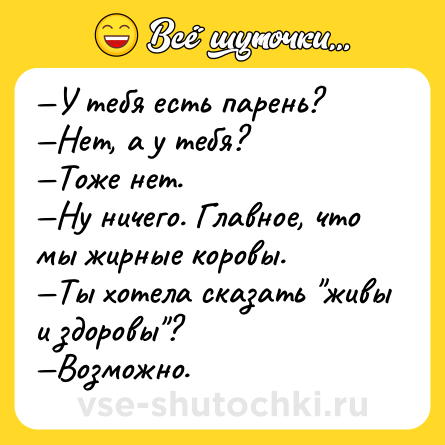 Шутка: —У тебя есть парень?<br>—Нет, а у тебя?<br>—Тоже нет.<br>—Ну ничего. Главное, что мы жирные коровы.<br>—Ты хотела сказать 