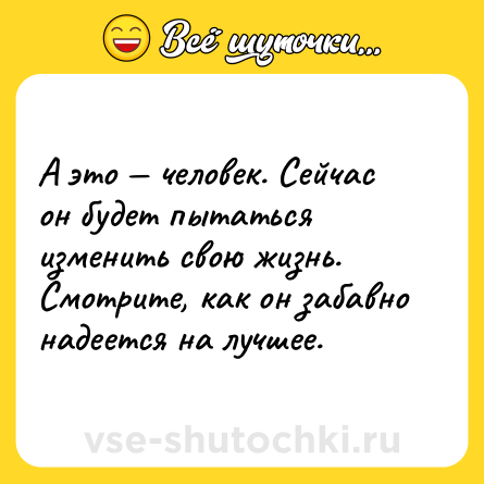 Шутка: А это — человек. Сейчас он будет пытаться изменить свою жизнь. Смотрите, как он забавно надеется на лучшее.