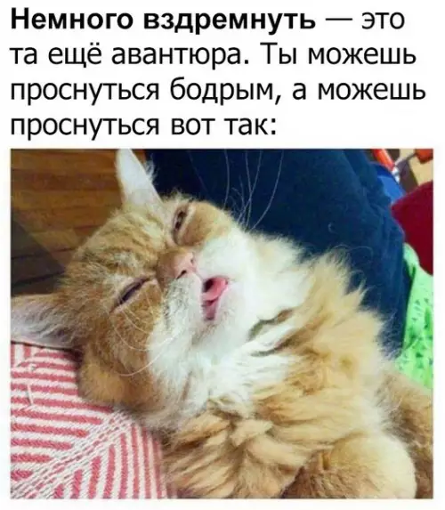 Смешная картинка №182871