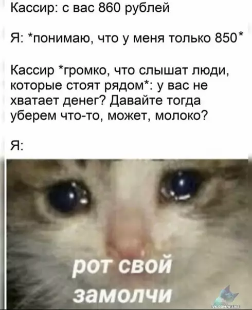 Смешная картинка №401031