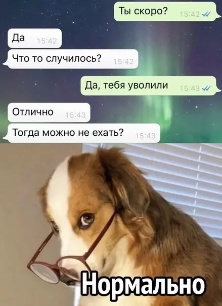 Смешная картинка №578095 Можно расслабиться :)
