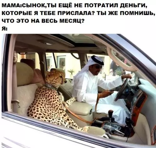 Смешная картинка №292107