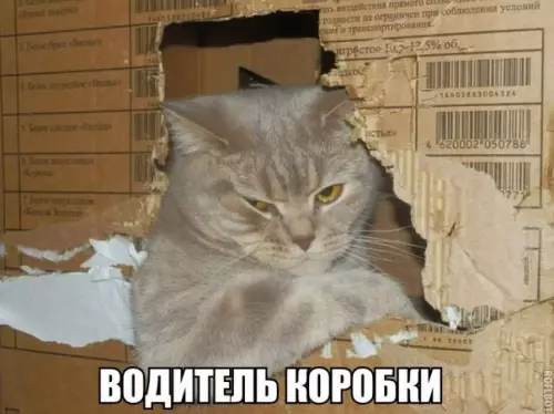 Смешная картинка №190823 коты