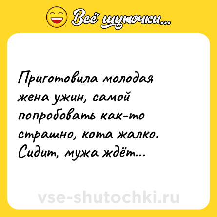 Шутка: Приготовила молодая жена ужин, самой попробовать как-то страшно, кота жалко. Сидит, мужа ждёт...
