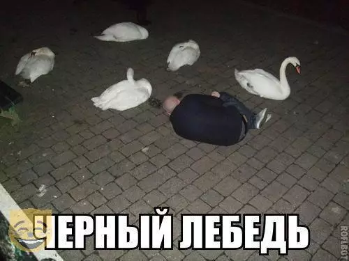Смешная картинка №323003