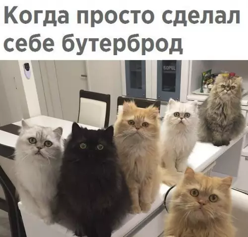 Смешная картинка №274387